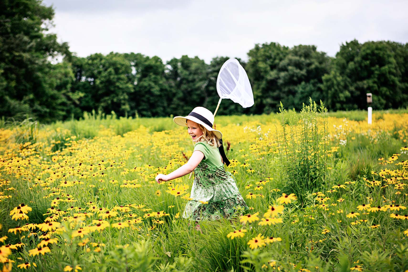 Young girl runs through field with a butterfly net, children